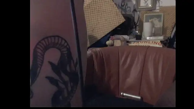 Show webcam de Cockstar963