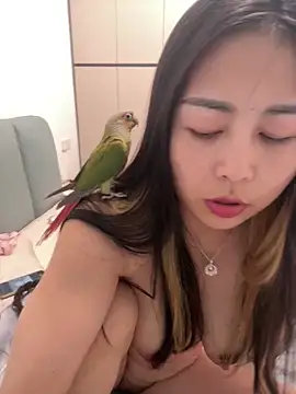 zzdd999 即時 XXX 聊天