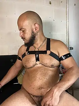the_master_foal_ Webcam Show