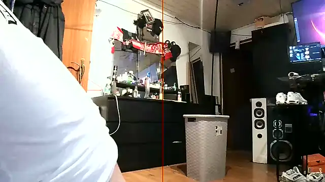 Show Webcam de lukasdie