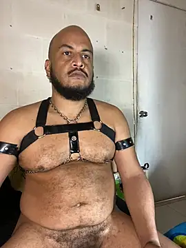 عرض كام the_master_foal_