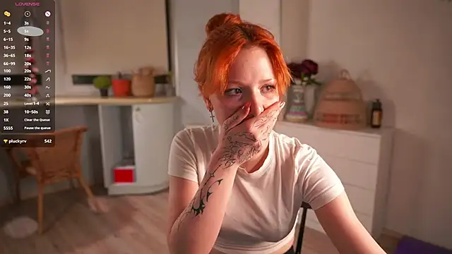 SunnyAdrid webcam show