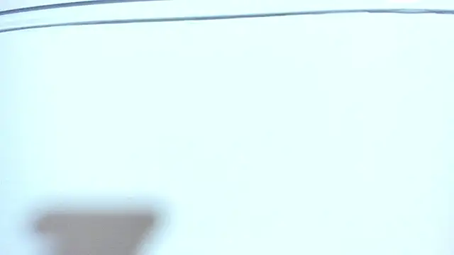 Chat XXX ao vivo de ZeusBrant
