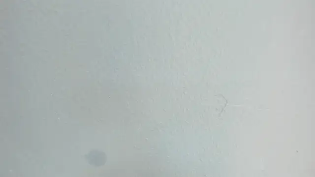 Charlie___Musk's Webcam Show