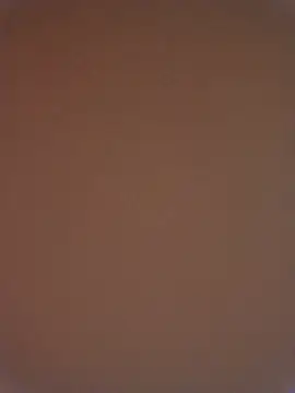 Chat XXX ao vivo de Sana-vn