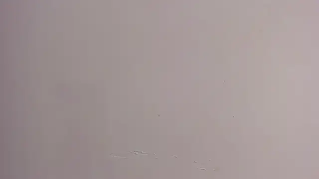 alannaht's Live XXX Chat