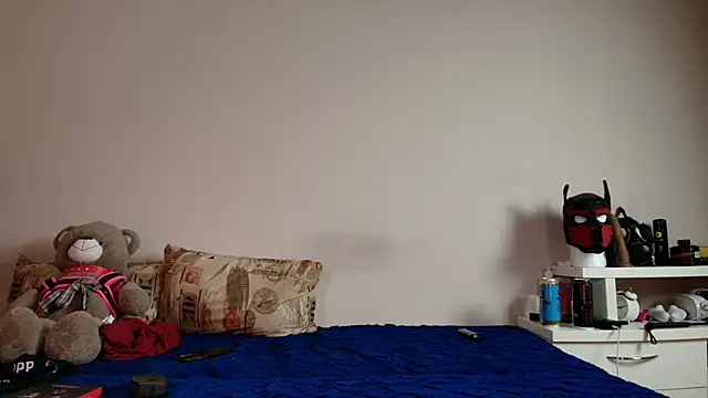 Pertunjukan Kamera Web K9_GoodBoy