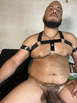 the_master_foal_ 网络视讯表演