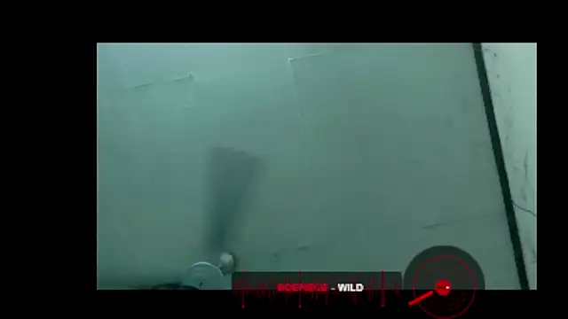 Show webcam de Loki886