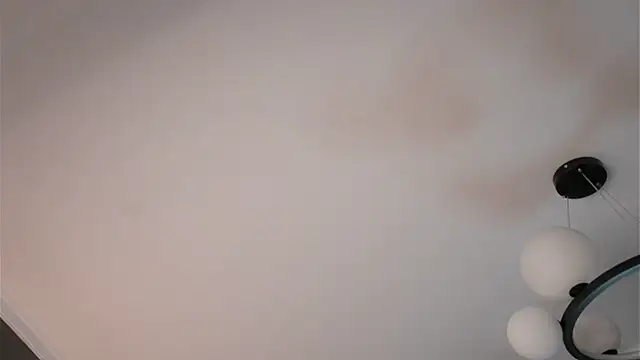 Chat XXX en directo de GussieGoold