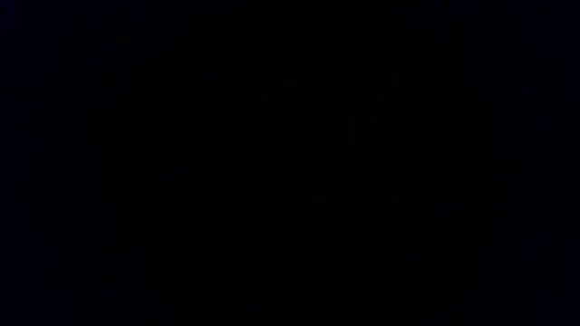 STIFFY-WOOD's Webcam Show