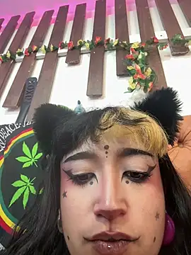 Show de MeowMota_ na webcam