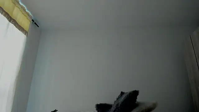 andyylove_jk – Live XXX-chat