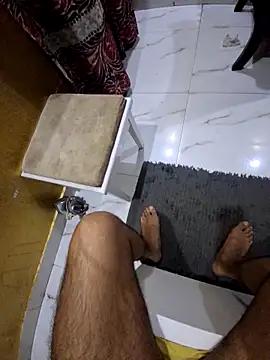 Show de webcam de SingleTest