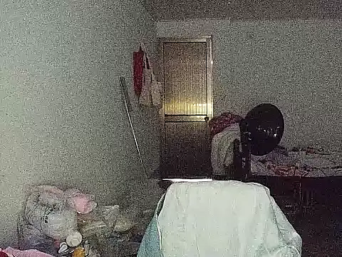 RebelAura Show Webcam