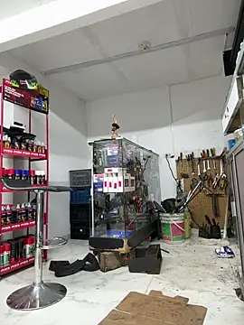 Paul22cm-'s Live XXX Chat