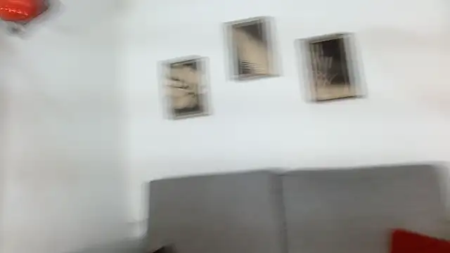 drake_laconten Webbikameraesitys
