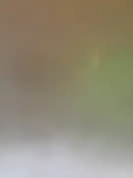 Show Webcam de syria157