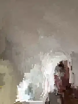 PronkedJape Webcam Show