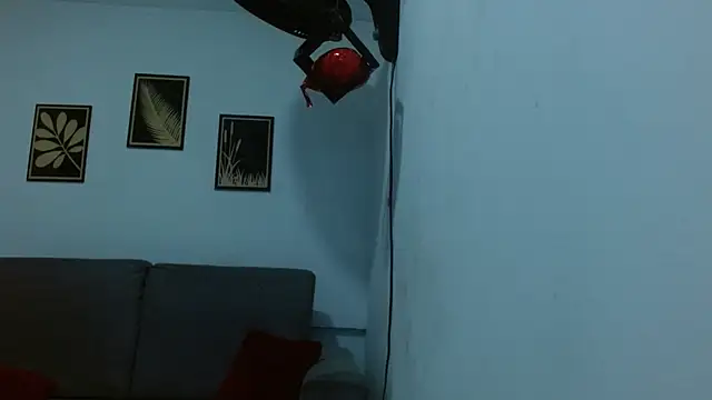 Show webcam de drake_laconte