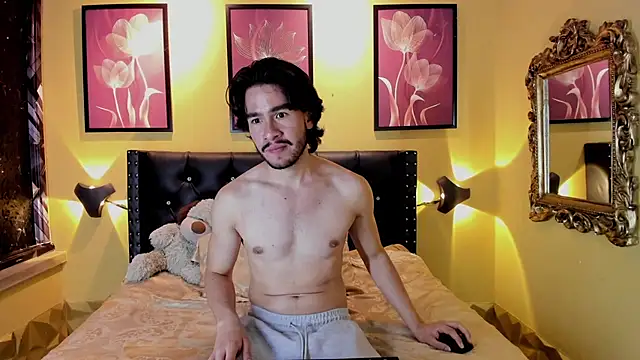 Вебкам-шоу theo_riviera