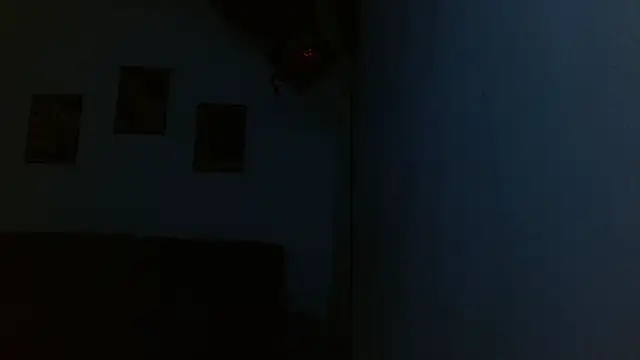 drake_laconten Webbikameraesitys