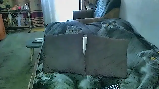 sex2's Live XXX Chat
