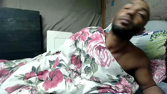 Camodick Live XXX-chat