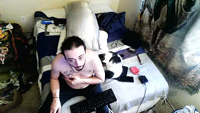 NormalGold330n Webbikameraesitys