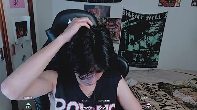 sai_l01 Webcam show