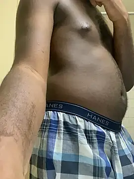 ThickDic28 Show in webcam