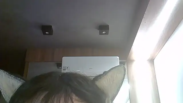 Chat XXX ao vivo de SkinnyKitten