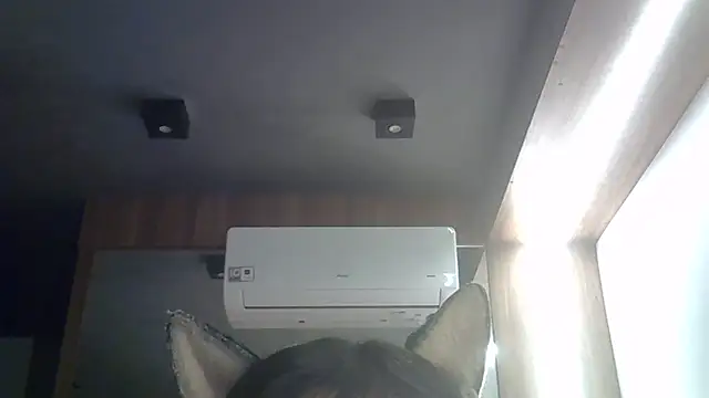 Chat +18 de SkinnyKitten ao vivo