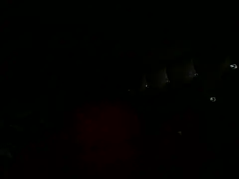 Webkamerová show GizliTurkTravesti_CD