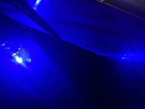 trash4cash's Live XXX Chat