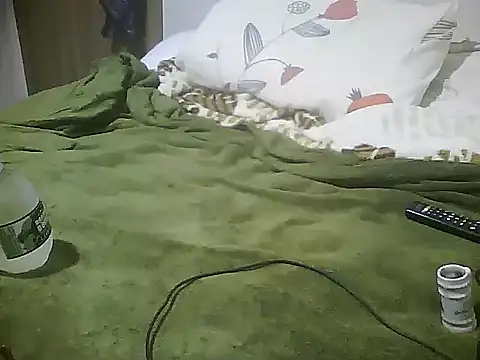 CabecaocwbprBrasil Show Webcam