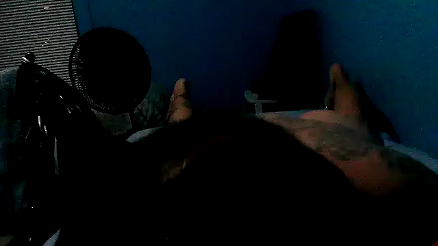 Show webcam de B2369