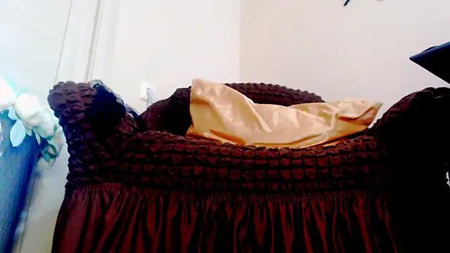 Webkamerová show Live_View