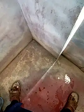 عرض كام Andrapradesh