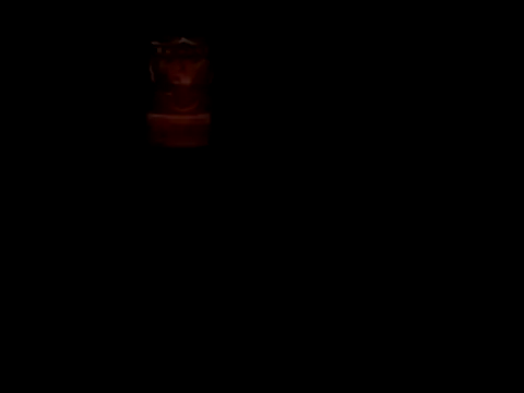 Blkstylion élő XXX-chatje