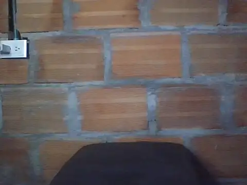 Show webcam de perloon
