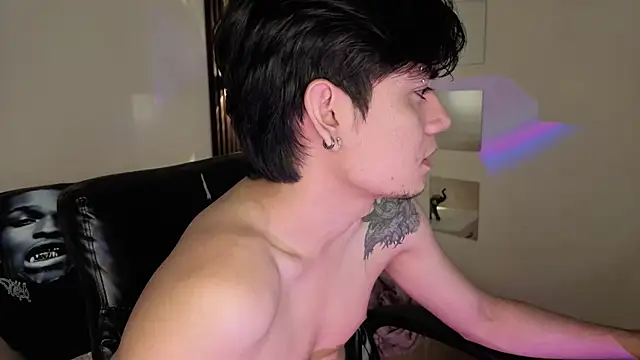 Show webcam de davoxer