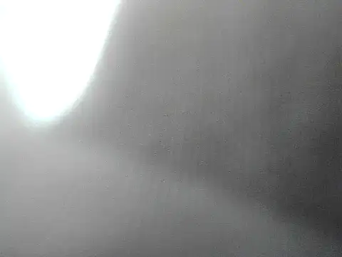 GordoChancludoSLP Pertunjukan Webcam
