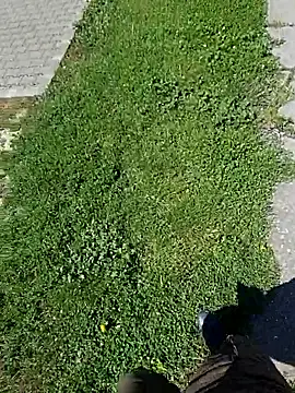 Flashdick91 webkamerás műsora