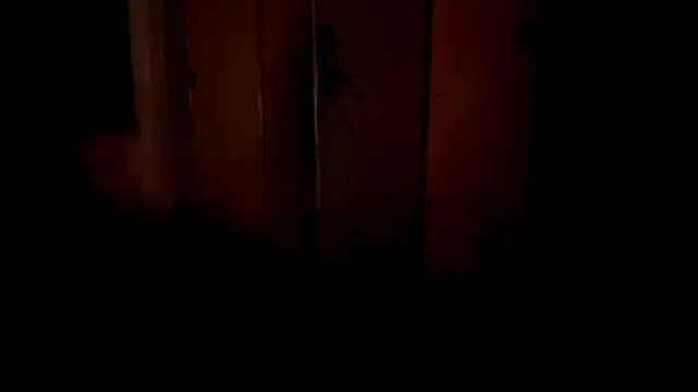 supninja_777のウェブカメラショー