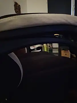 dufatcock Pertunjukan Webcam
