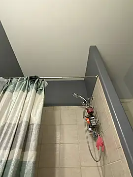 wesstfine's Webcam Show