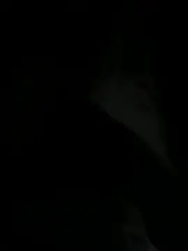 BobbyPPLober Webcam-Show