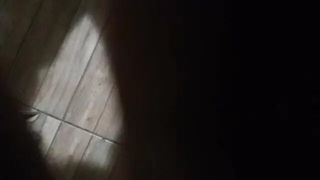 Dominador_Absolut Webcam-Show