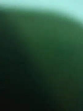FXF-01's Webcam Show